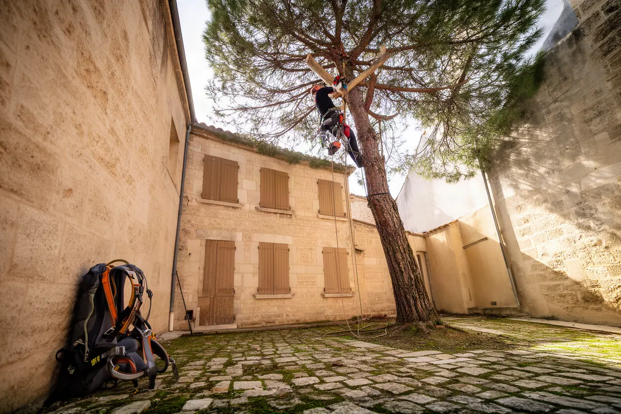 Élagueur grimpeur en intervention dans une ruelle du centre ancien de Grans
